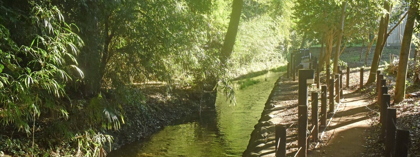 柳窪緑地保全地域