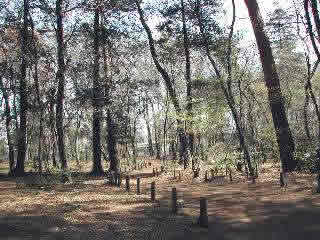 氷川台緑地保全地域