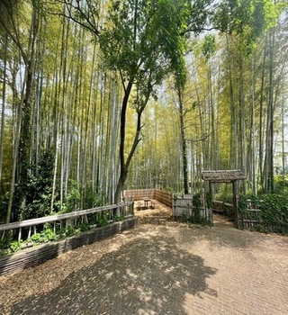 写真　竹林公園 入口