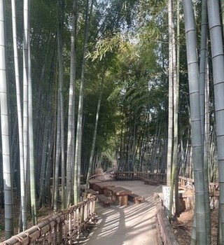 竹林公園　入口