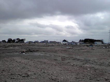 現地（仙台市内）風景の写真