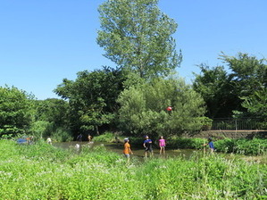 いこいの水辺の写真