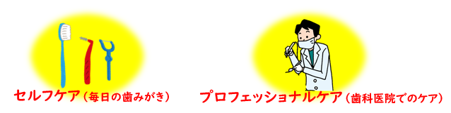 セルフケアは毎日の歯磨き、プロフェッショナルケアは歯科医院のケアのことです。