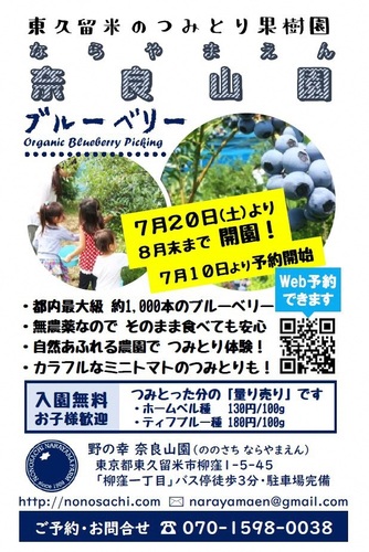 ブルーベリー摘み取りチラシ