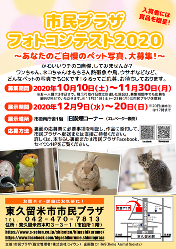 市民プラザフォトコンテストチラシ