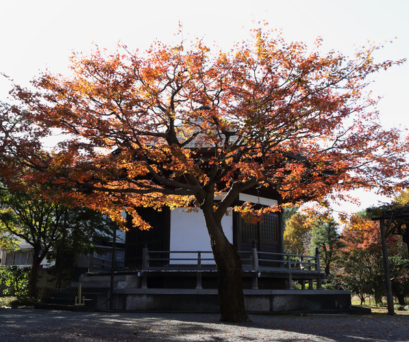 米津寺六角堂前