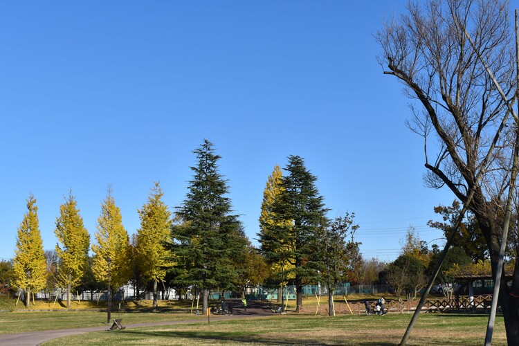 六仙公園