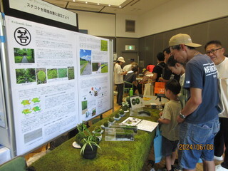 画像　環境フェスティバルの様子2