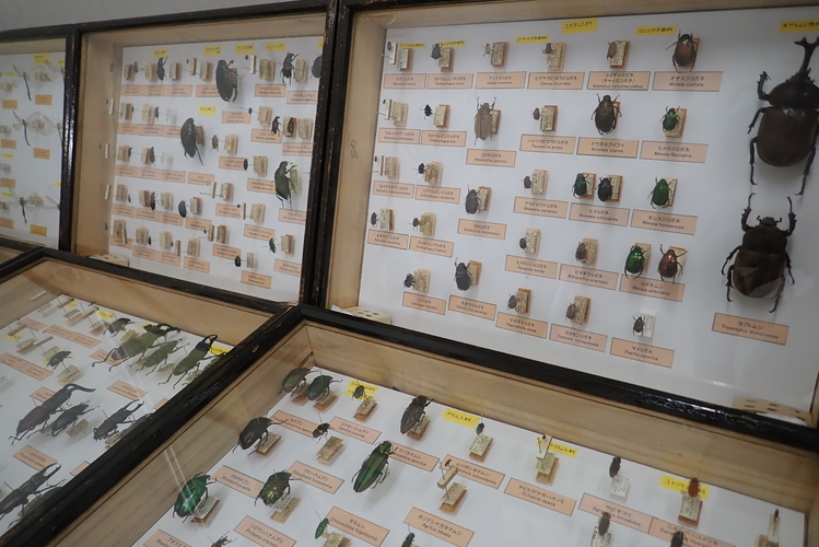 昨年の展示の様子1