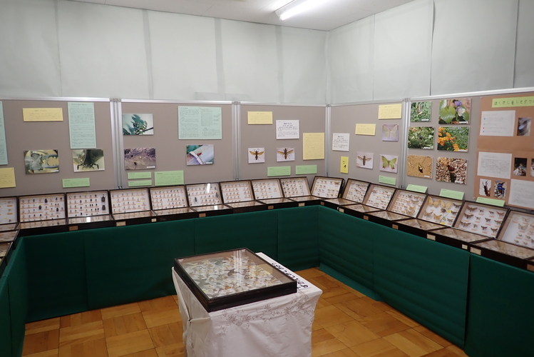 昨年の展示の様子2