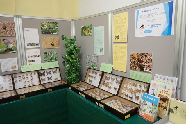 画像　展示の様子2