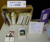 実際の紹介ボード22