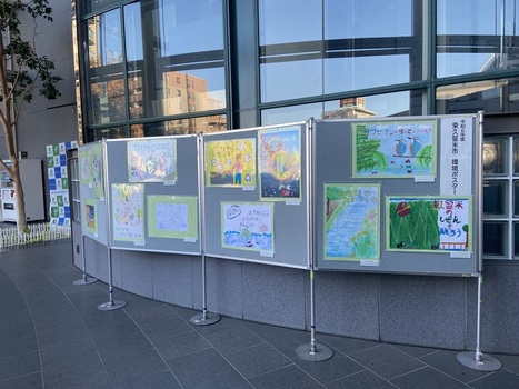 展示の様子（全景）