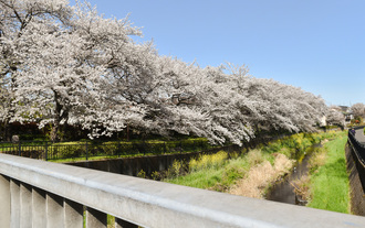 画像　撮影の様子3