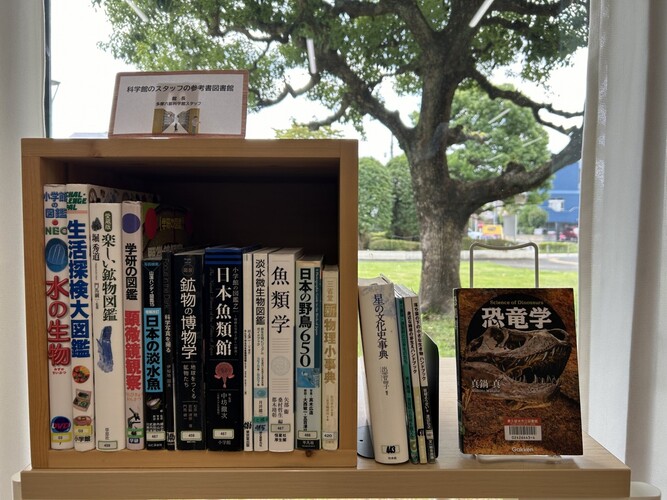 写真：ひとハコ図書館04