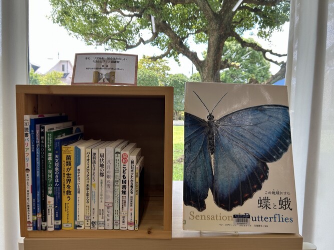 写真：ひとハコ図書館12