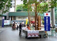 世界赤十字デーの写真