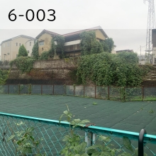 6-003（外部リンク・新しいウインドウで開きます）