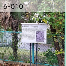 6-010（外部リンク・新しいウインドウで開きます）