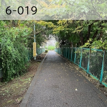 6-019（外部リンク・新しいウインドウで開きます）