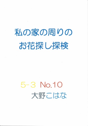 私の家の周りのお花探し探検